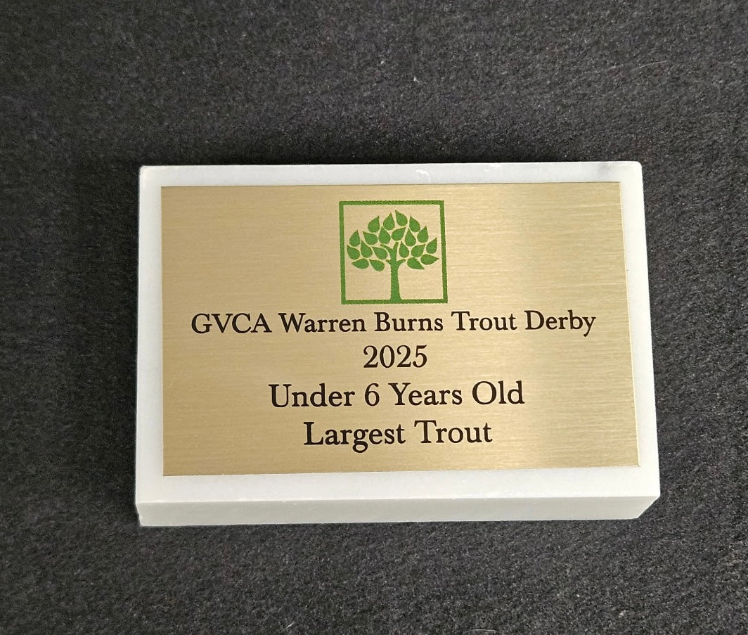 2x3 Marble Paperweight